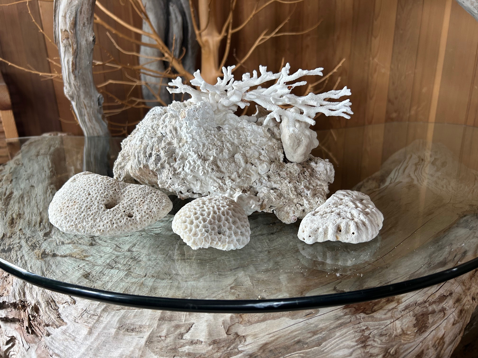 コーラルインテリアガーデン